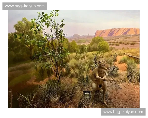 冰与火的巅峰博弈：当“袋鼠军团”碰撞“日耳曼战车”，谁才是你心中的终极生活模板？